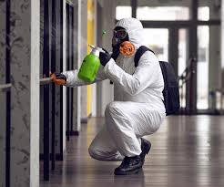 Best Environmental Consulting for Mold Prevention  in Southaven, MS